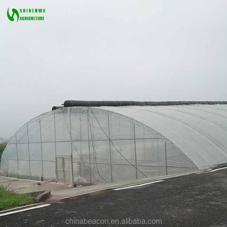single-span tunnel agricultural greenhouses with shade net,agricultural green houses