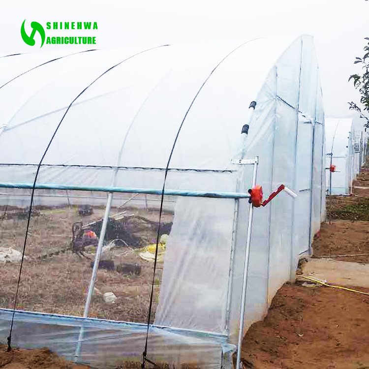 single-span tunnel agricultural greenhouses with shade net,agricultural green houses