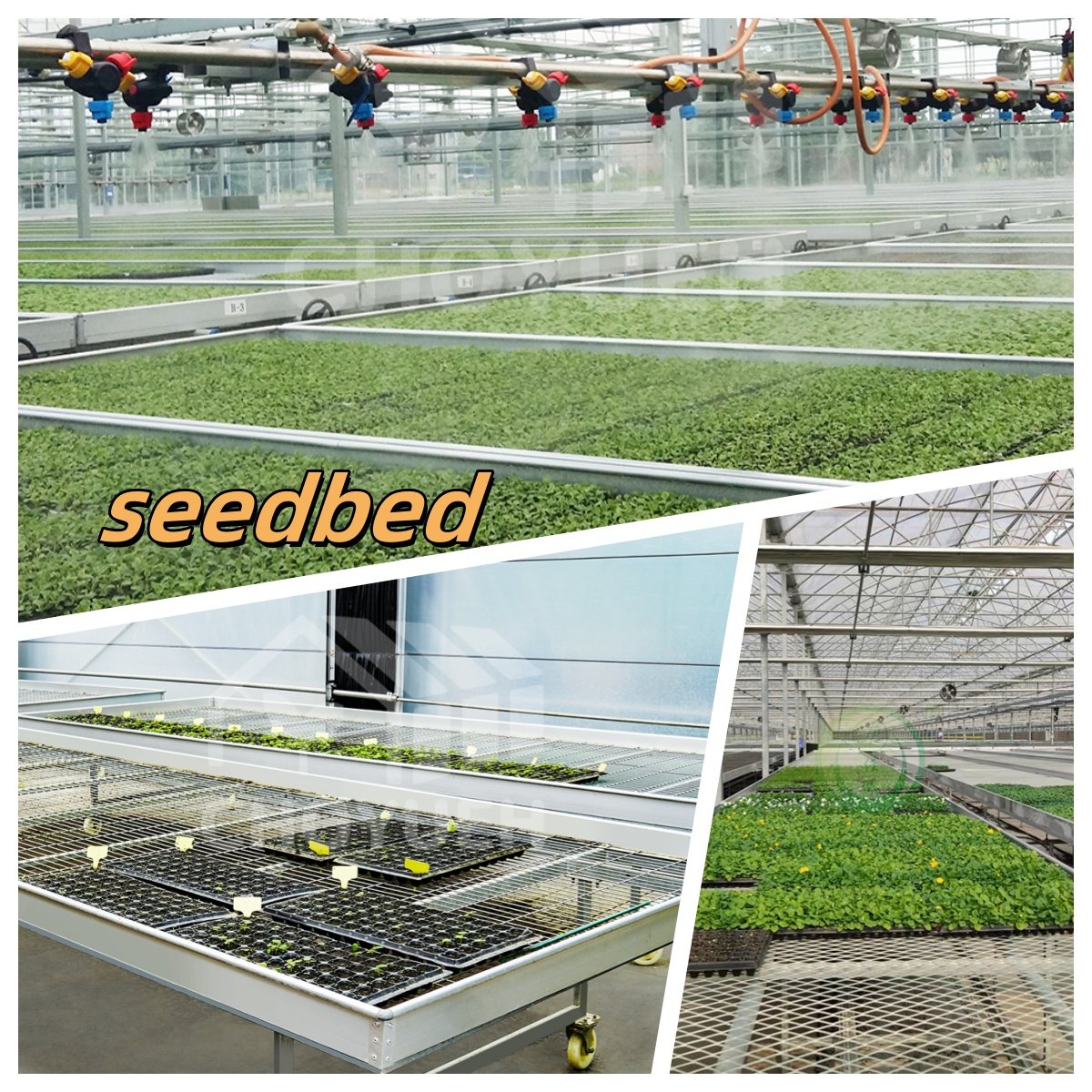 Jiapei agricultural greenhouses Large Hydroponics Multi-span Film Sheet Greenhouse with Tomato Growing System Large Solar Fan