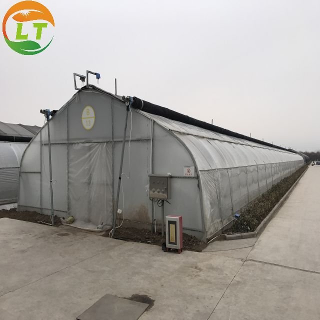 Customized automated light deprivation blackout agriculture greenhouse for flower and herb plants growing