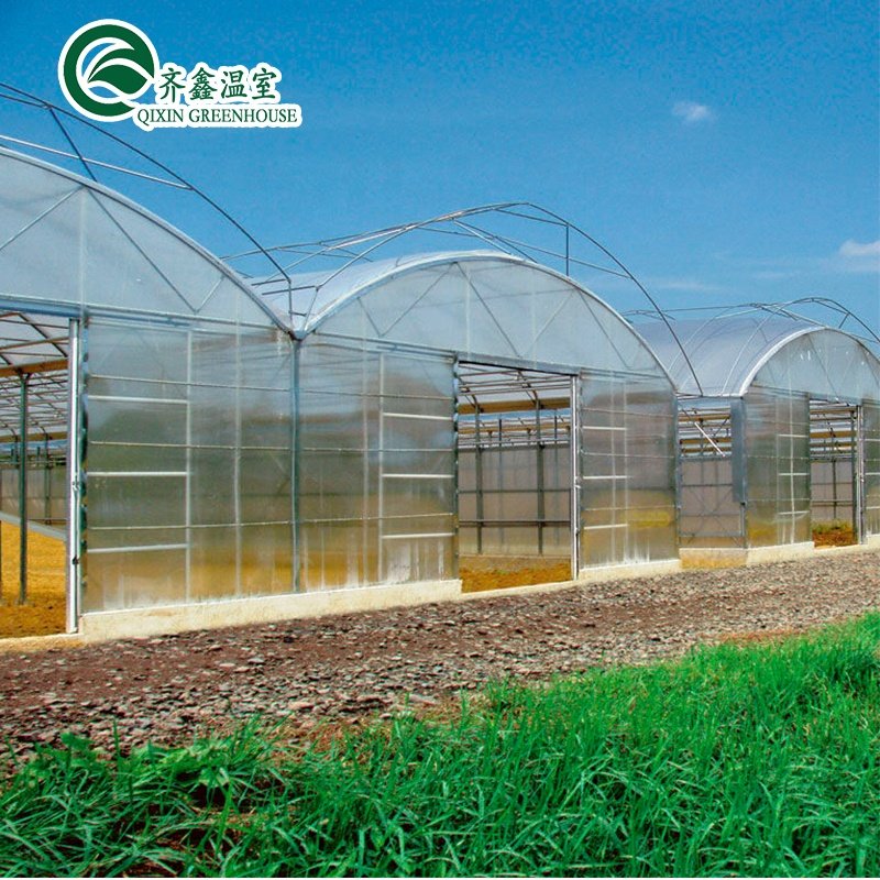 equipment Agricultural Greenhouse with Farming