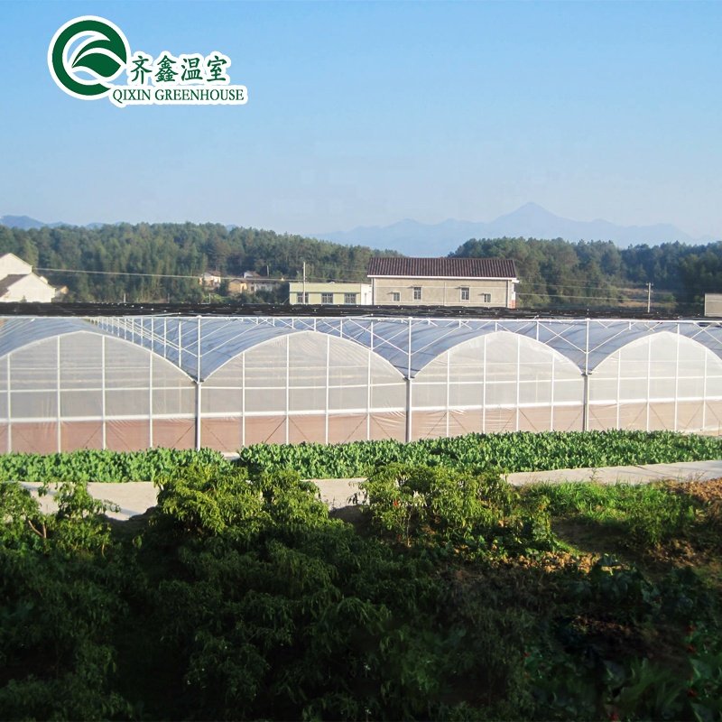 equipment Agricultural Greenhouse with Farming