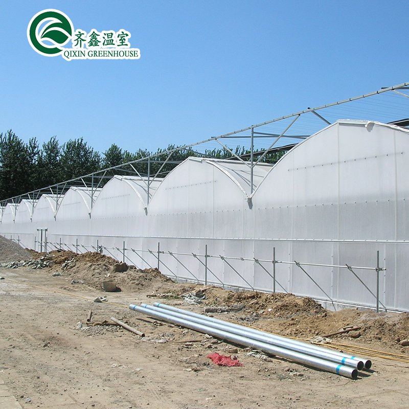 equipment Agricultural Greenhouse with Farming