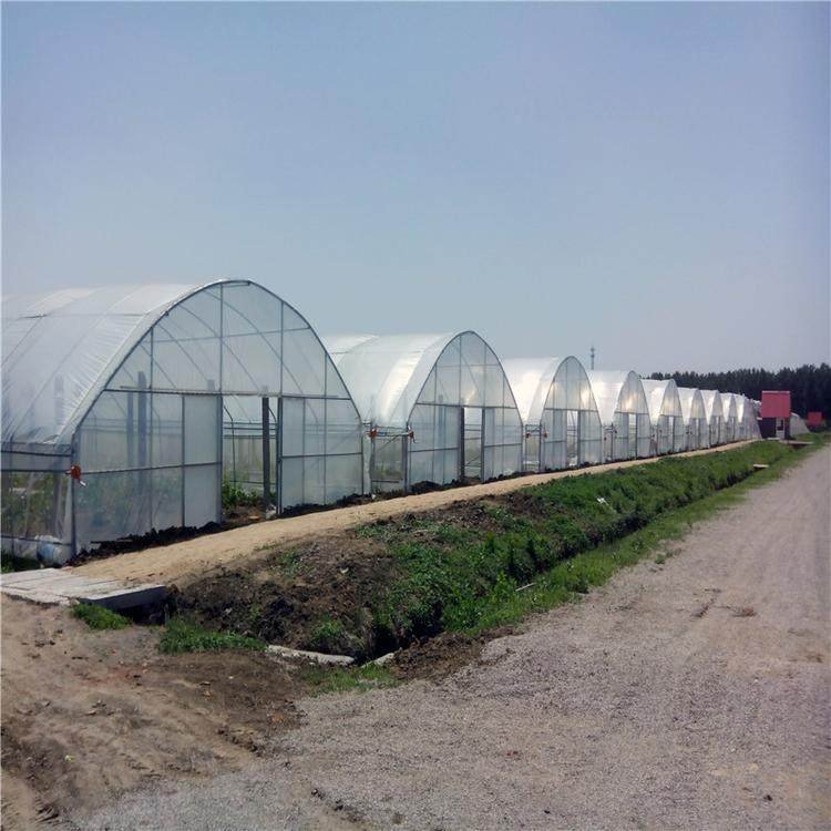 Good Quality And Easily Installed galvanized Agricultural Commercial Greenhouse