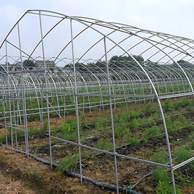 Galvanized steel Frame Single span PE Film greenhouse for Agriculture Low cost Tunnel greenhouse for flowers plant