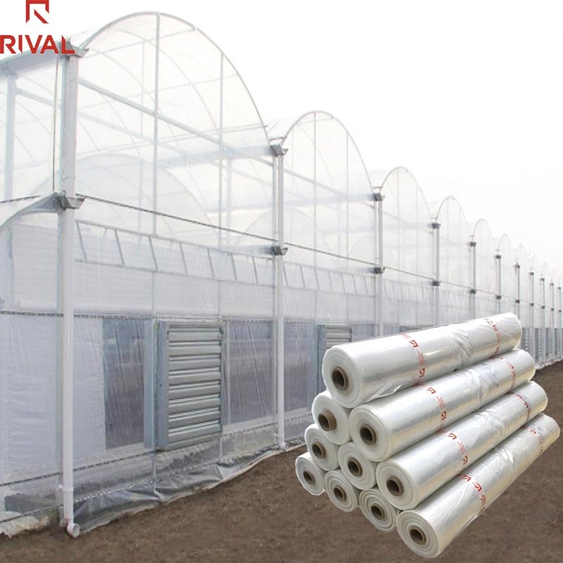 UV 200 microns greenhouse plastic film covering Agricultural Greenhouse stabilized polyethylene sheet greenhouse plastic sheet