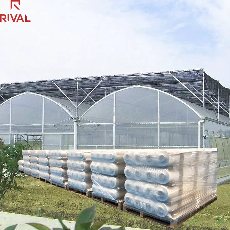 UV 200 microns greenhouse plastic film covering Agricultural Greenhouse stabilized polyethylene sheet greenhouse plastic sheet
