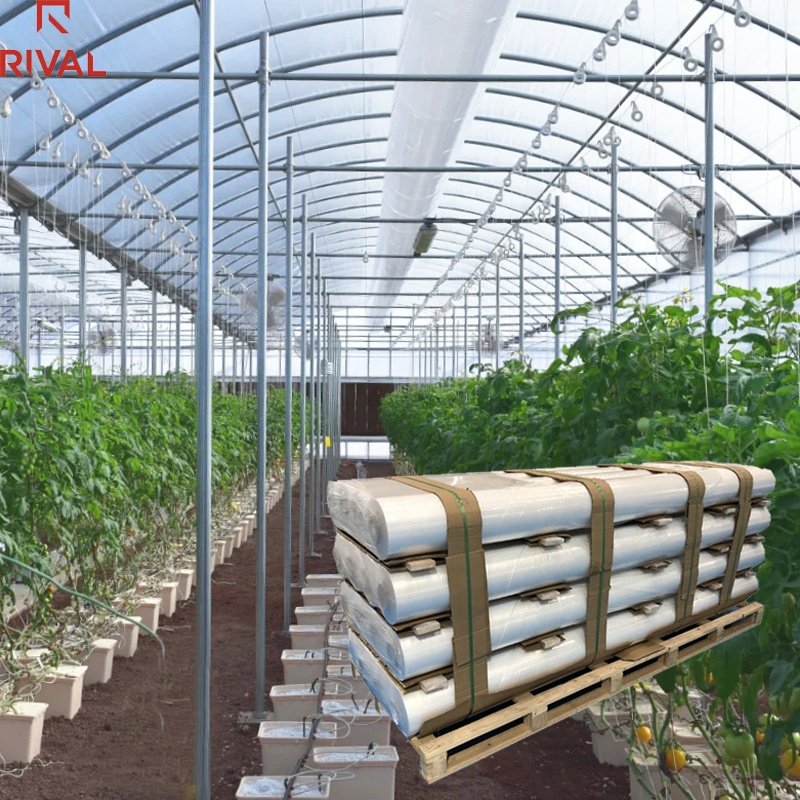UV 200 microns greenhouse plastic film covering Agricultural Greenhouse stabilized polyethylene sheet greenhouse plastic sheet