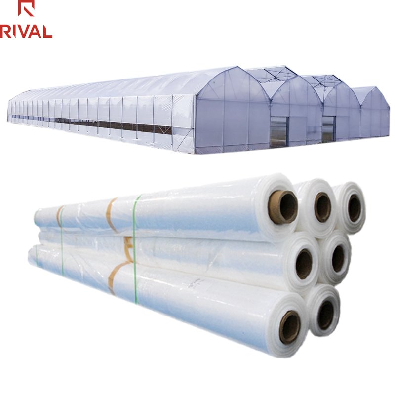 UV 200 microns greenhouse plastic film covering Agricultural Greenhouse stabilized polyethylene sheet greenhouse plastic sheet