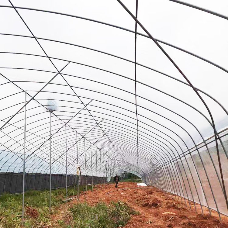 Hot Galvanized Steel Frame Agricultural Single Span Pe Film Plastic Small Tunnel Greenhouse For Sale