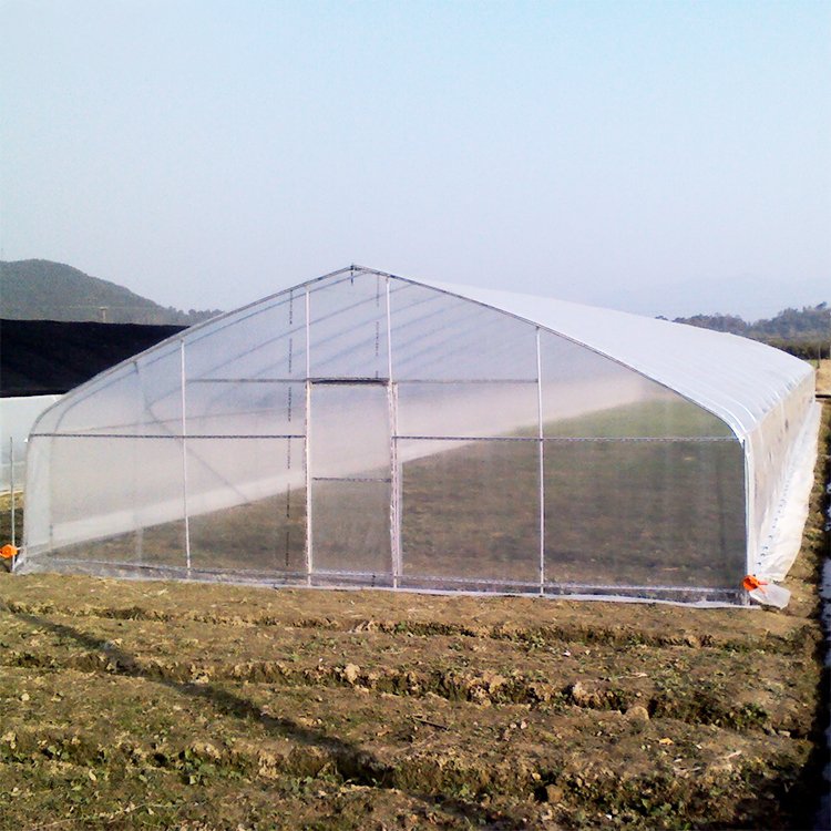 Hot Galvanized Steel Frame Agricultural Single Span Pe Film Plastic Small Tunnel Greenhouse For Sale