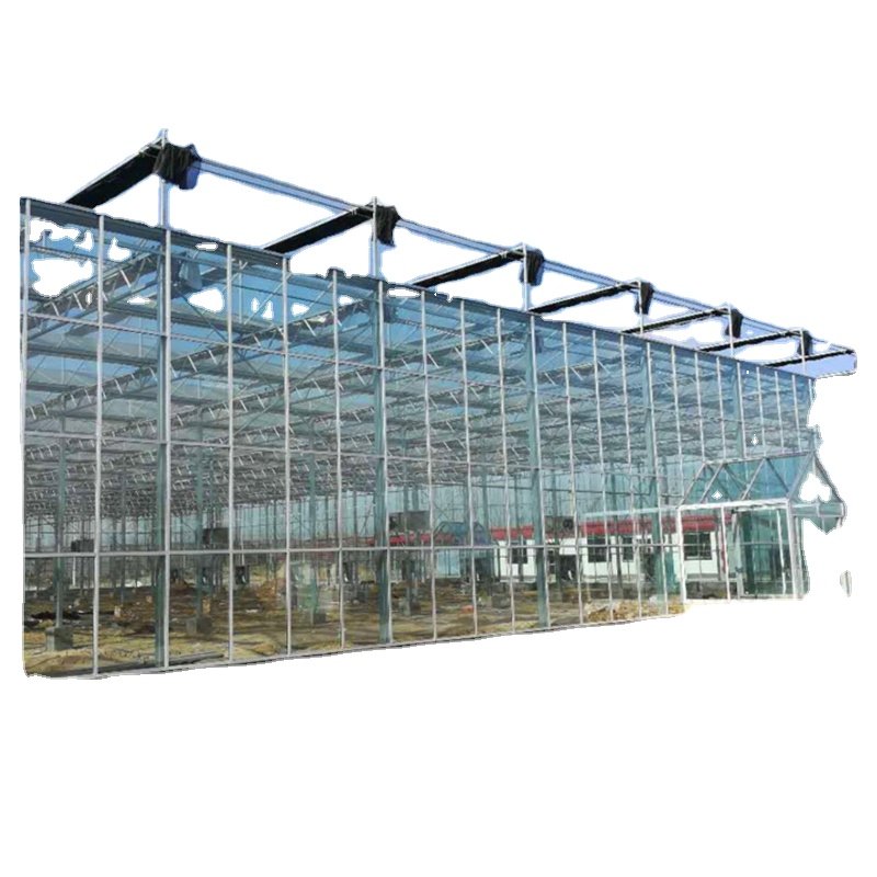 Agriculture Blackout Light Deprivation Greenhouse Fully Automated