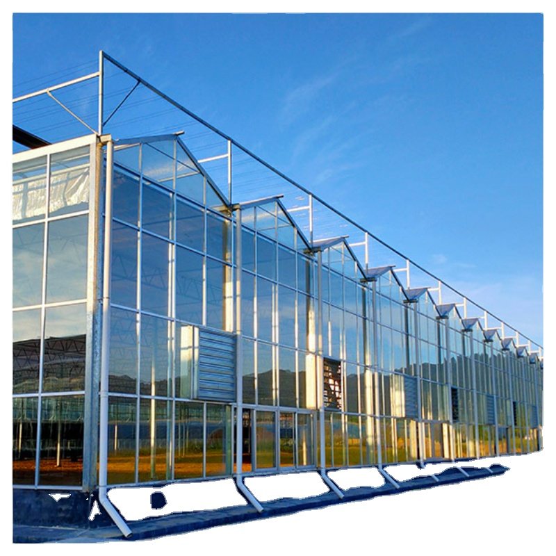 Agriculture Blackout Light Deprivation Greenhouse Fully Automated