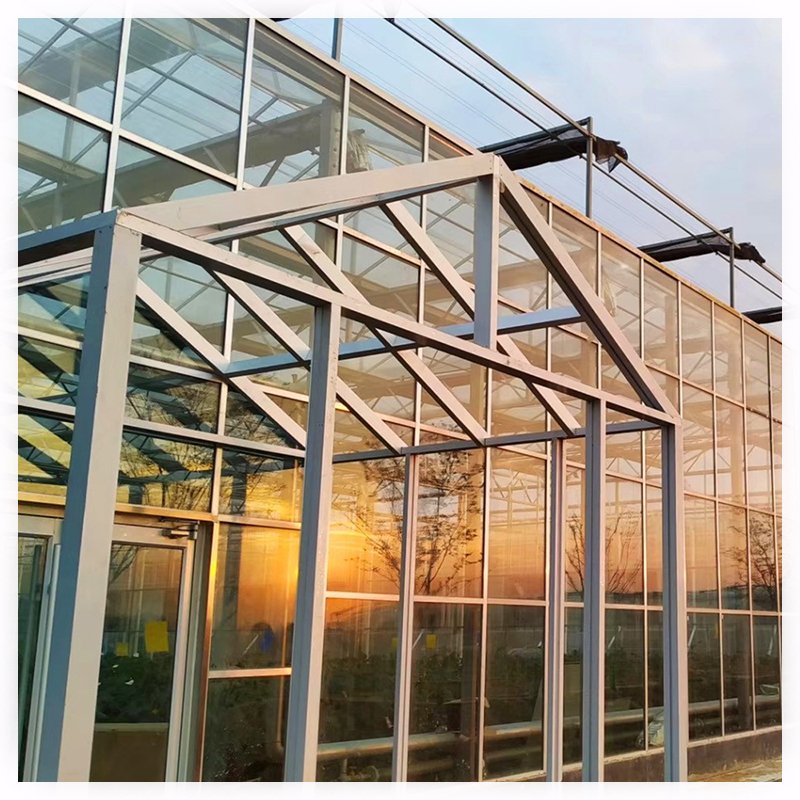 Agriculture Blackout Light Deprivation Greenhouse Fully Automated