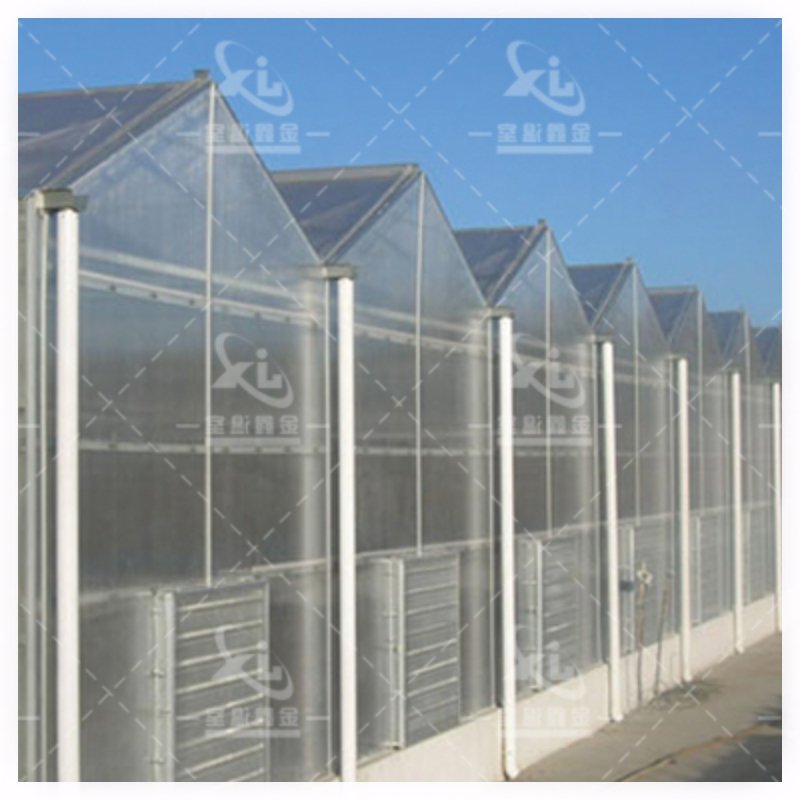 Agriculture Blackout Light Deprivation Greenhouse Fully Automated