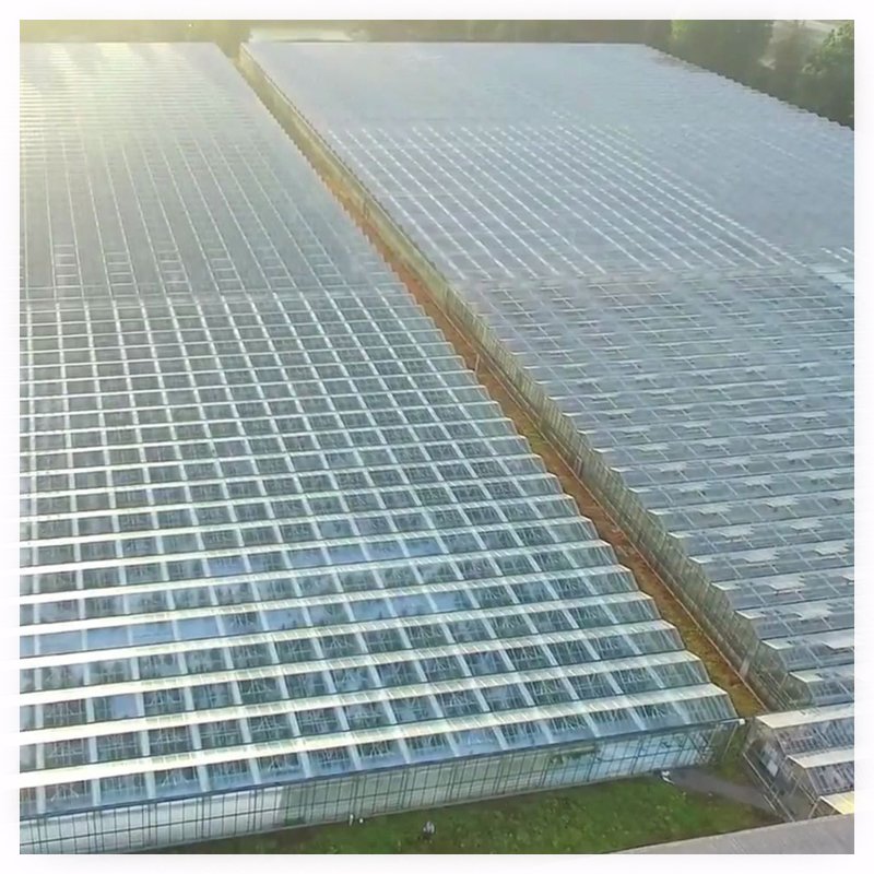 Agriculture Blackout Light Deprivation Greenhouse Fully Automated