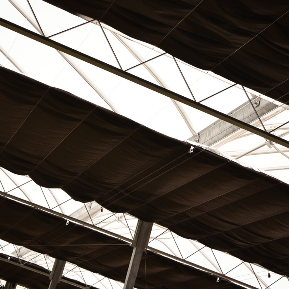 High Quality High-Quality Light Deprivation Blackout Greenhouse System Light Deprivation System Greenhouse