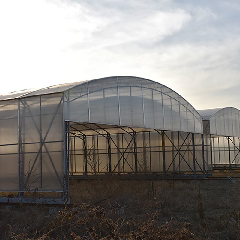 Large Hydroponic Greenhouse with Multi-Span Tunnel Film Single Layer Vegetable Grow Steel Plastic Cover PE Material for Sale