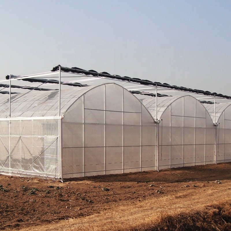 Large Hydroponic Greenhouse with Multi-Span Tunnel Film Single Layer Vegetable Grow Steel Plastic Cover PE Material for Sale
