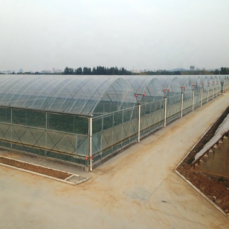 Large Hydroponic Greenhouse with Multi-Span Tunnel Film Single Layer Vegetable Grow Steel Plastic Cover PE Material for Sale