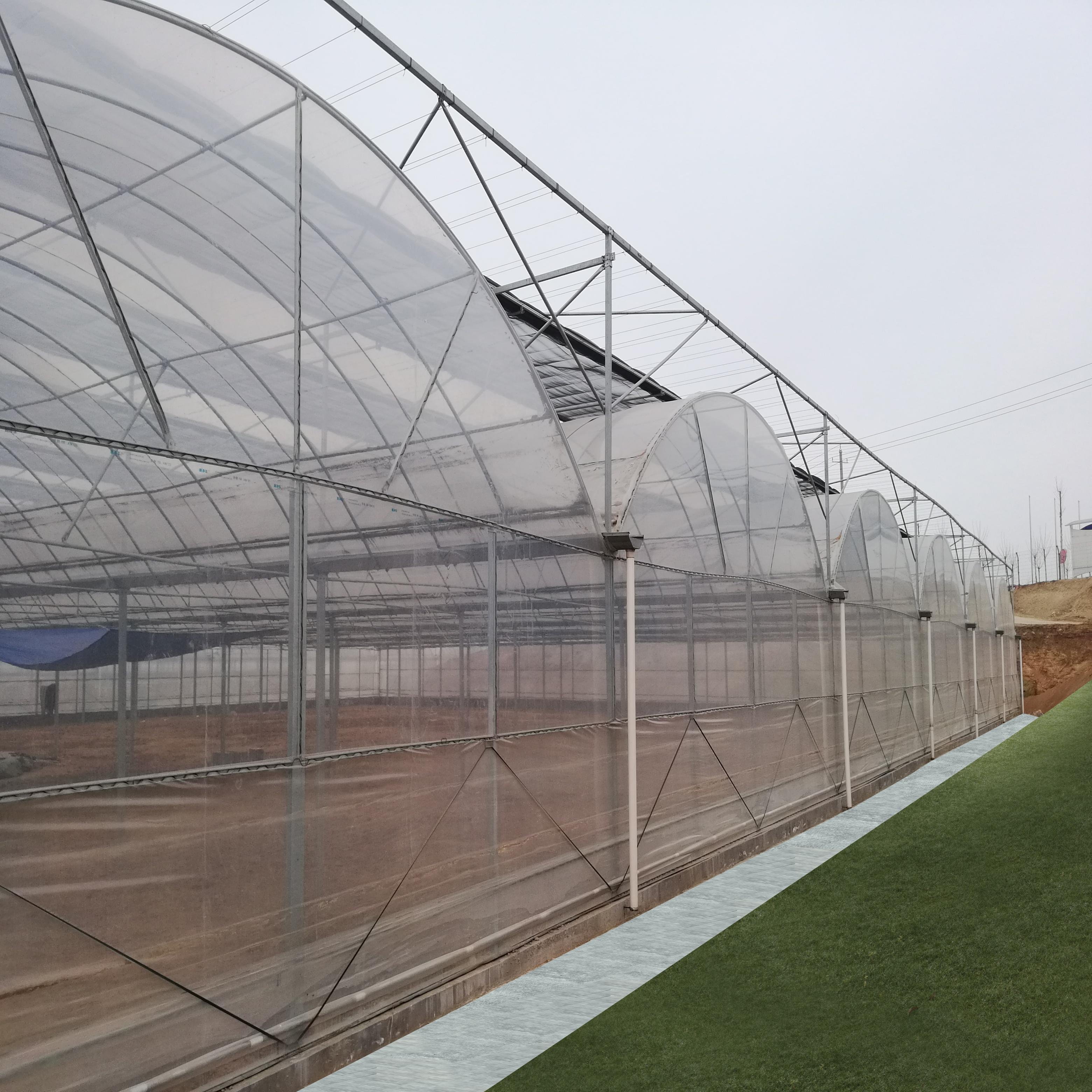 Serre Agricole Plastic Film Agricultural Greenhouse Arch Green House With Hot Dip Galvanized Steel Frame