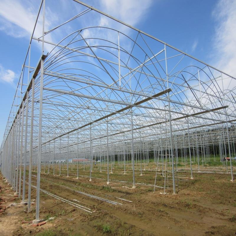 Serre Agricole Plastic Film Agricultural Greenhouse Arch Green House With Hot Dip Galvanized Steel Frame