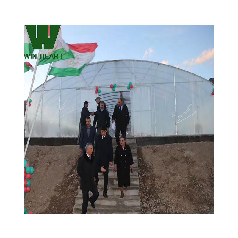Factory Price PC Sheet single Span Greenhouse for agriculture China Low Cost Single-Span Tunnel Greenhouse with PC Sheet