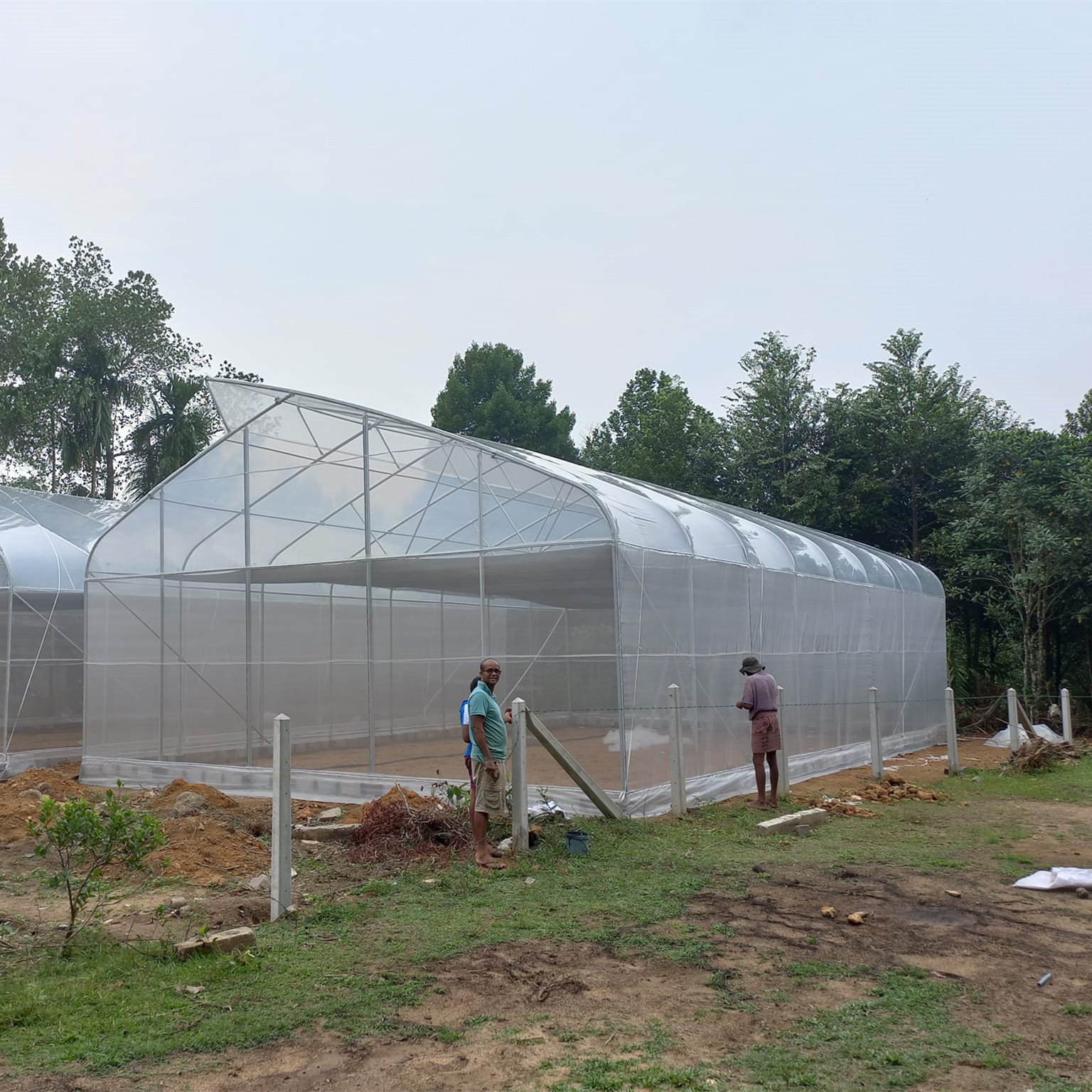 Agricultural Low Cost High Tunnel Plastic Film Sawtooth Greenhouse Roof Window Greenhouse
