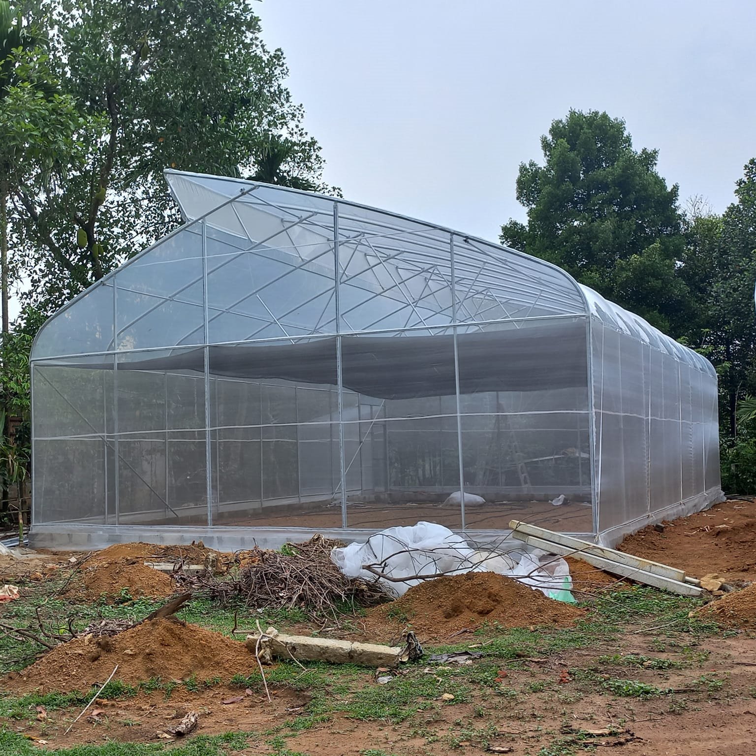 Agricultural Low Cost High Tunnel Plastic Film Sawtooth Greenhouse Roof Window Greenhouse