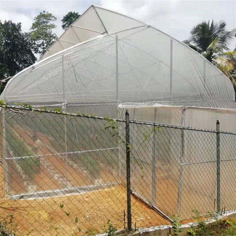 Agricultural Low Cost High Tunnel Plastic Film Sawtooth Greenhouse Roof Window Greenhouse