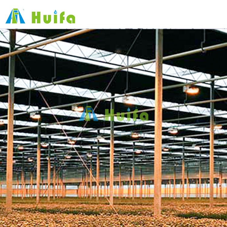 Light Deprivation Greenhouse Plastic Film Covering Materials Hydroponics Greenhouse With Automatic Blackout System