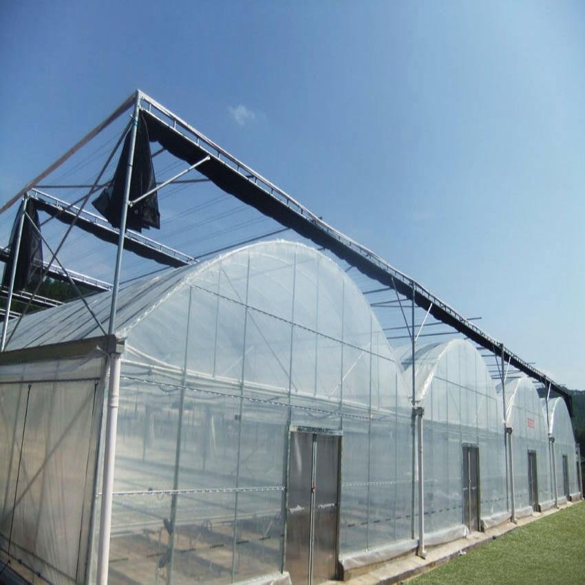 Low Price Commercial Plastic Film Greenhouse for Tomato Agricultural Greenhouse Supply