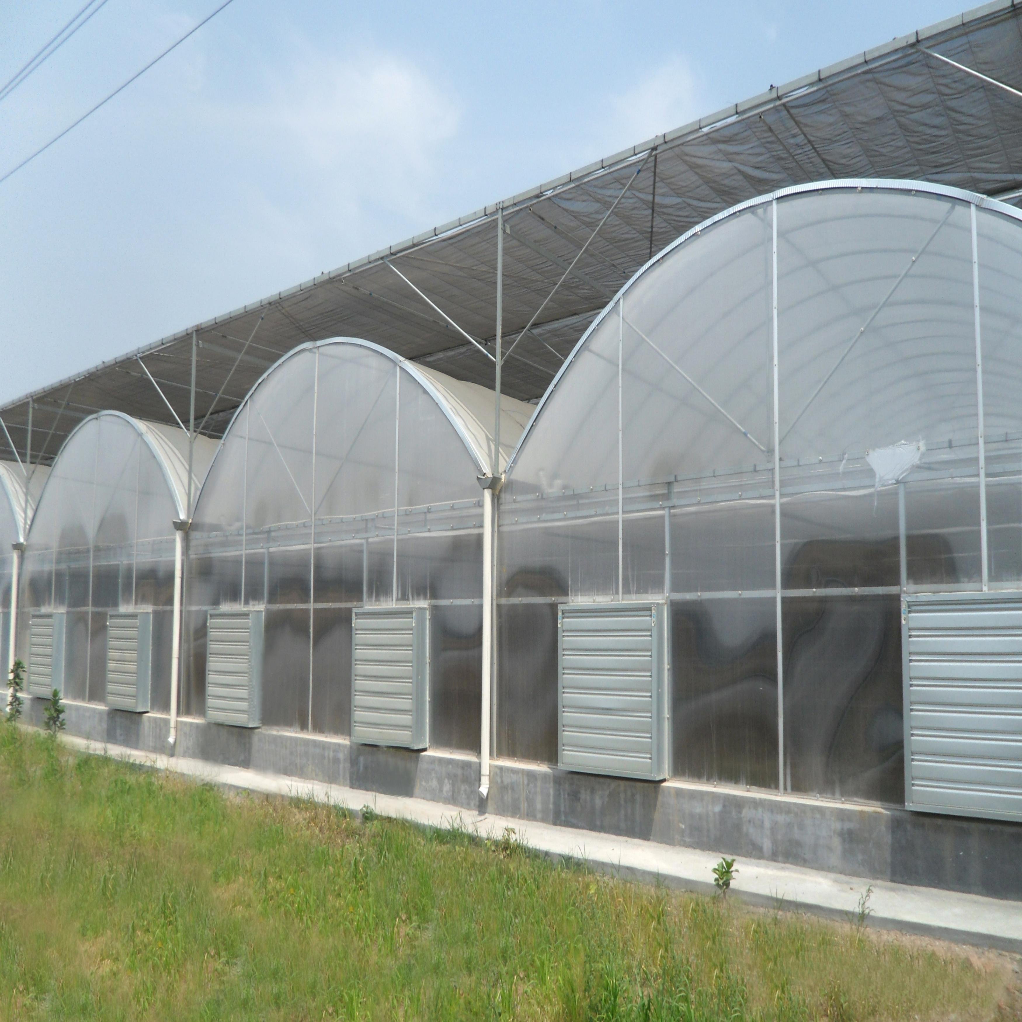 Low Price Commercial Plastic Film Greenhouse for Tomato Agricultural Greenhouse Supply