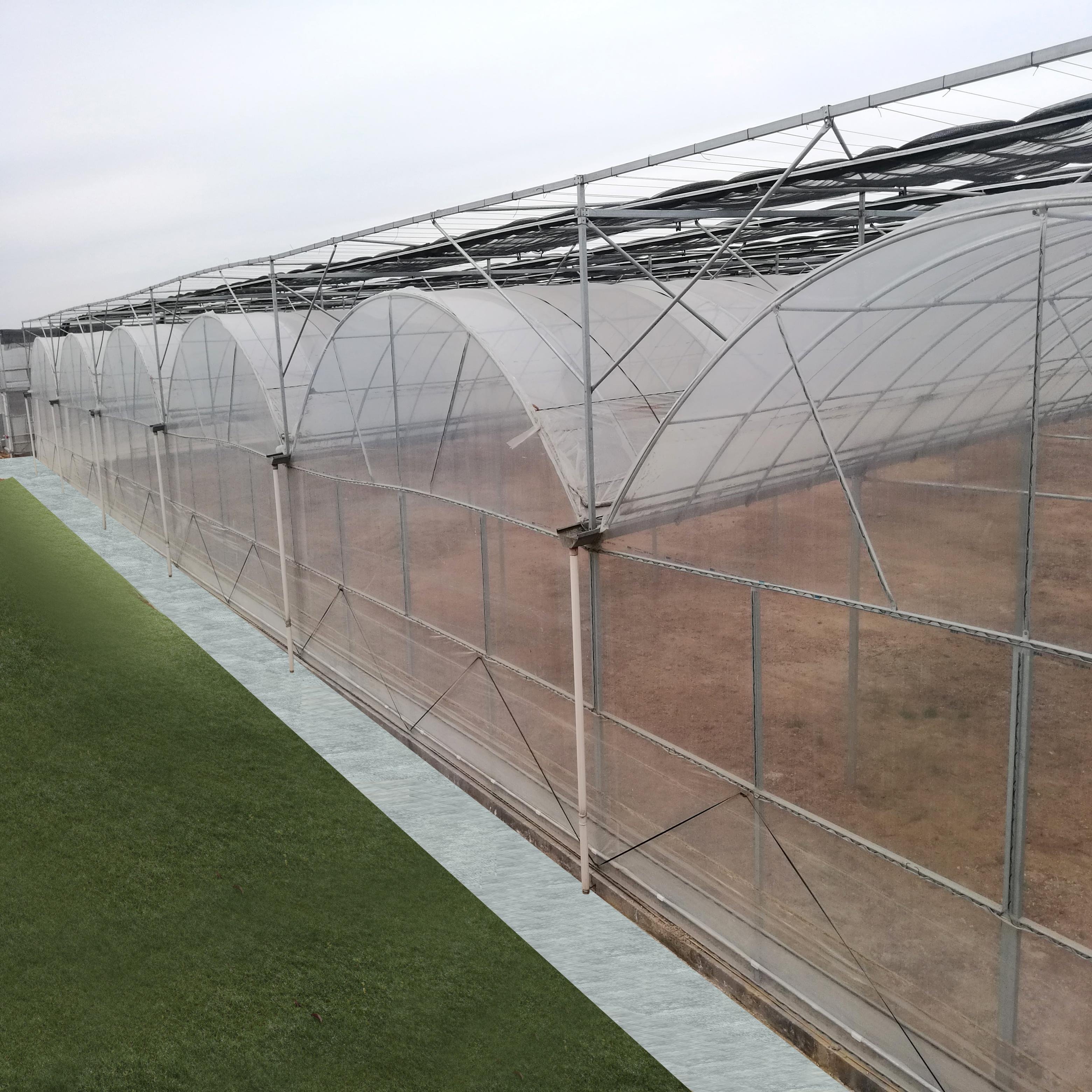 Low Price Commercial Plastic Film Greenhouse for Tomato Agricultural Greenhouse Supply
