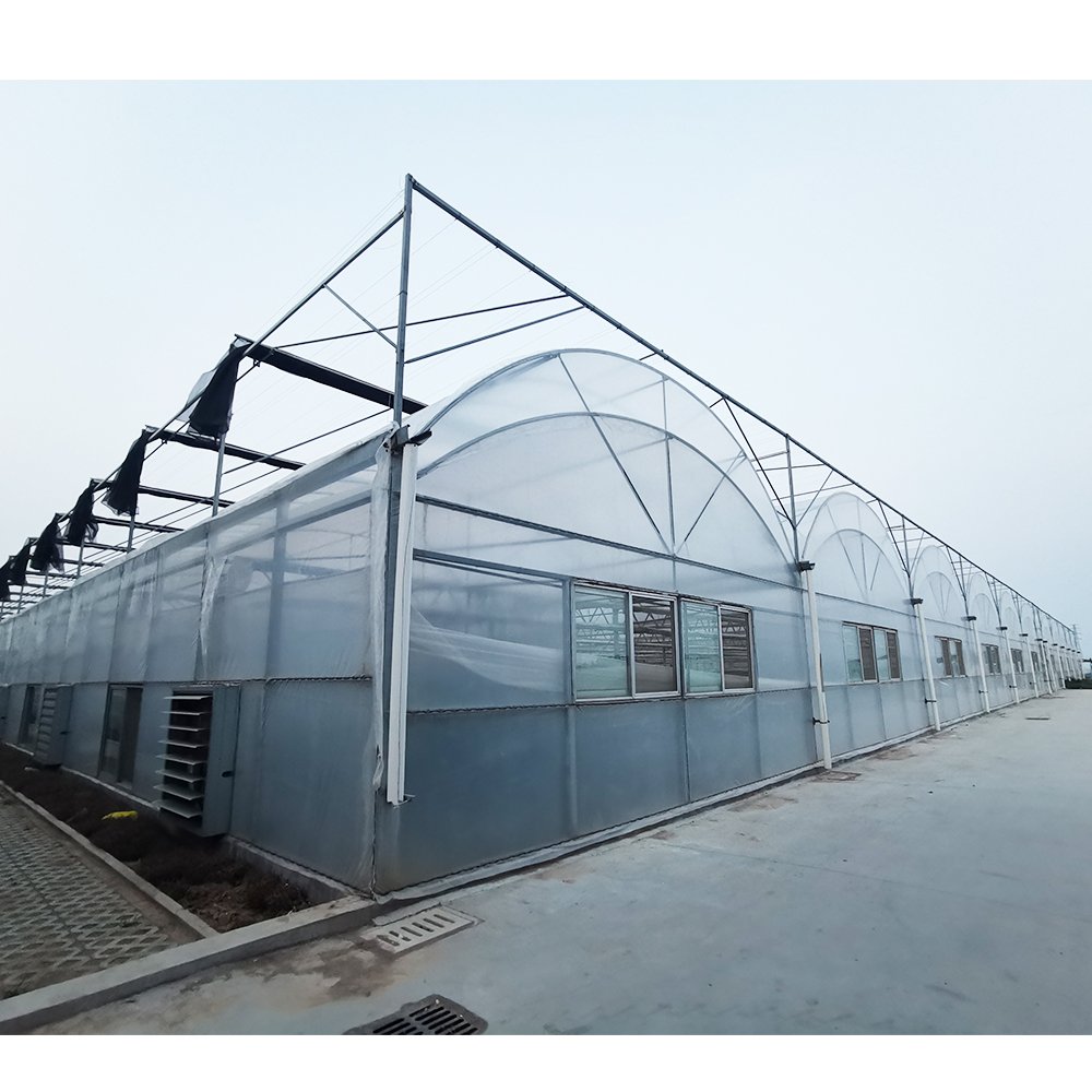 Low Price Commercial Plastic Film Greenhouse for Tomato Agricultural Greenhouse Supply