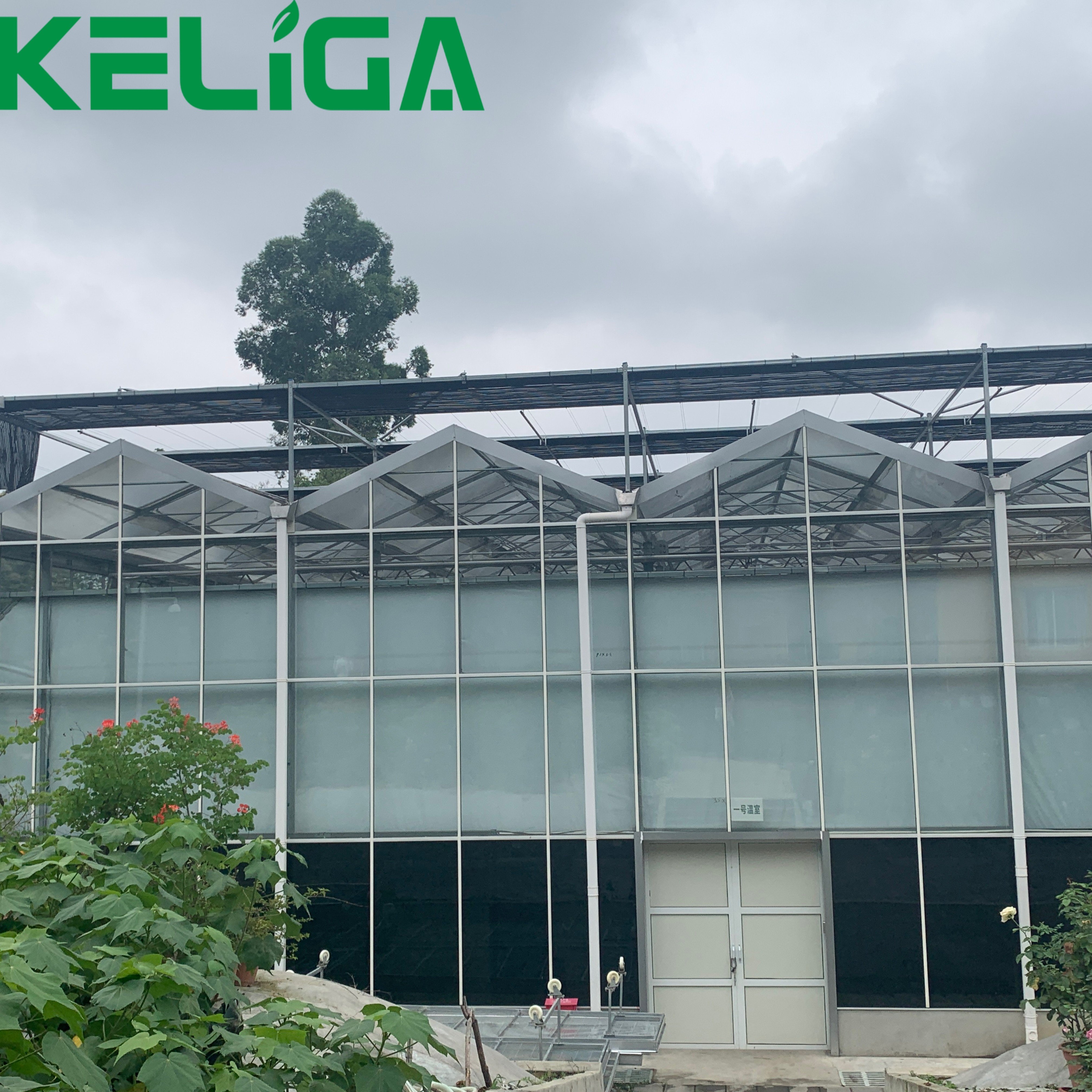 Agricultural Greenhouses Multi-span Glass Greenhouses for plants/vegetable/flowers