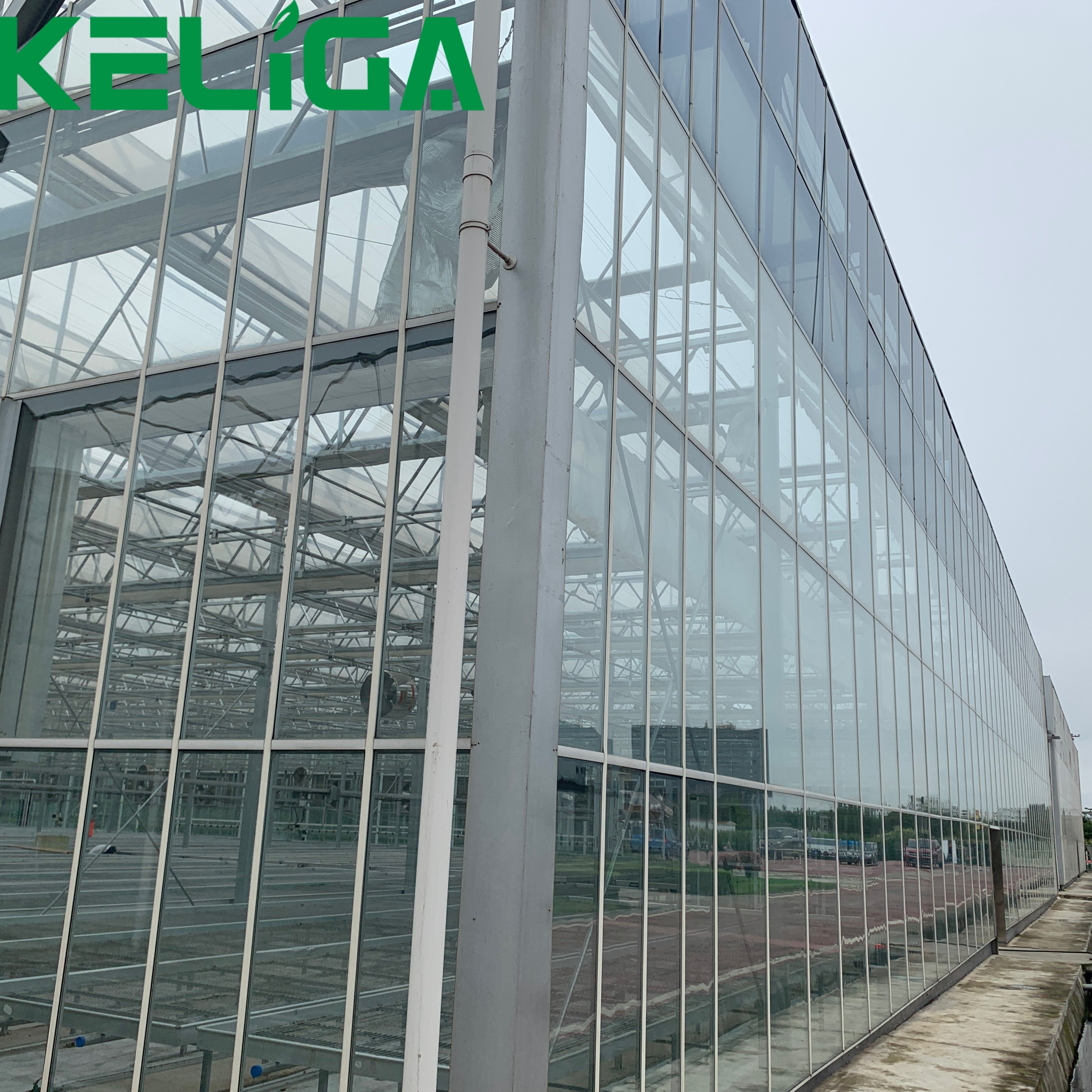 Agricultural Greenhouses Multi-span Glass Greenhouses for plants/vegetable/flowers