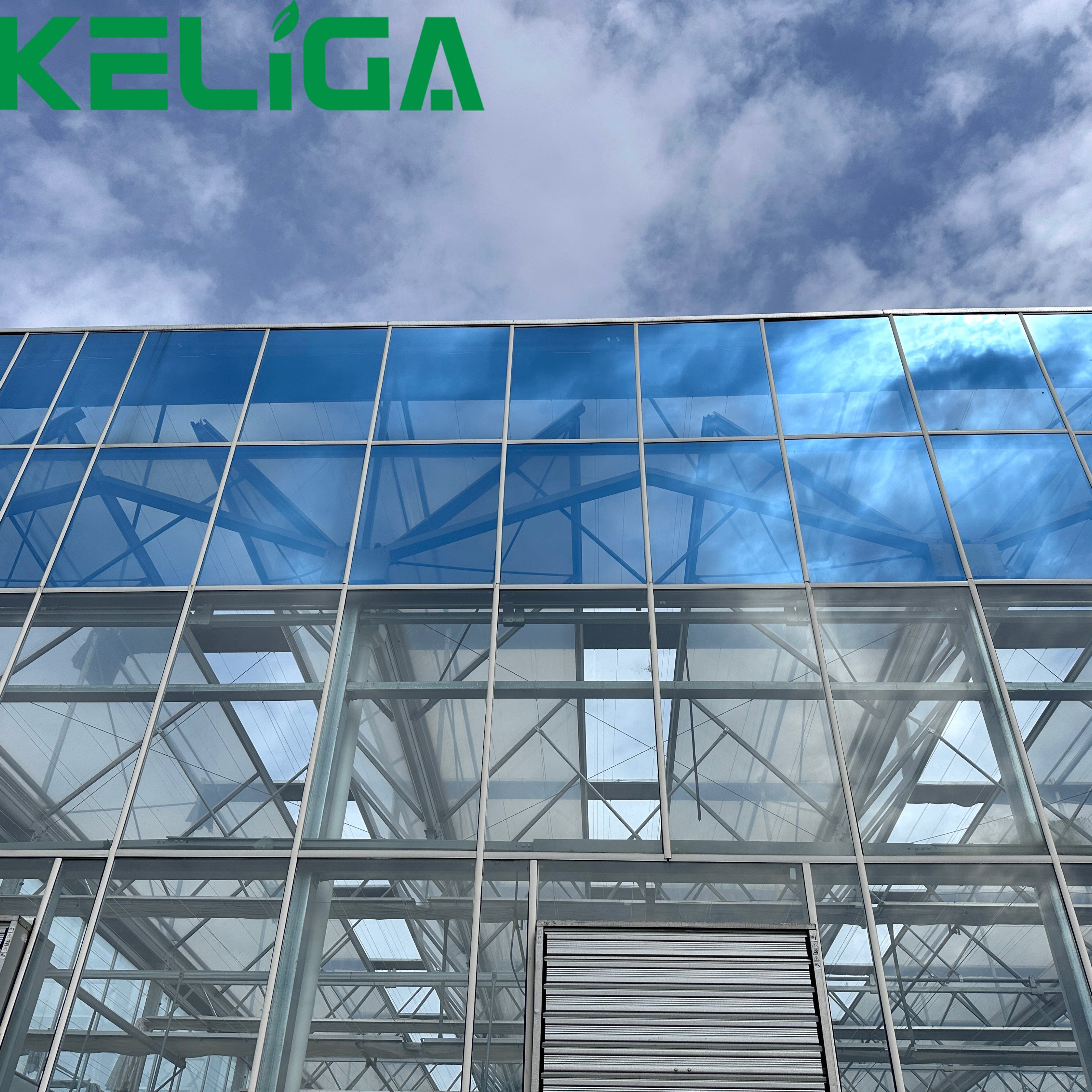 Agricultural Greenhouses Multi-span Glass Greenhouses for plants/vegetable/flowers