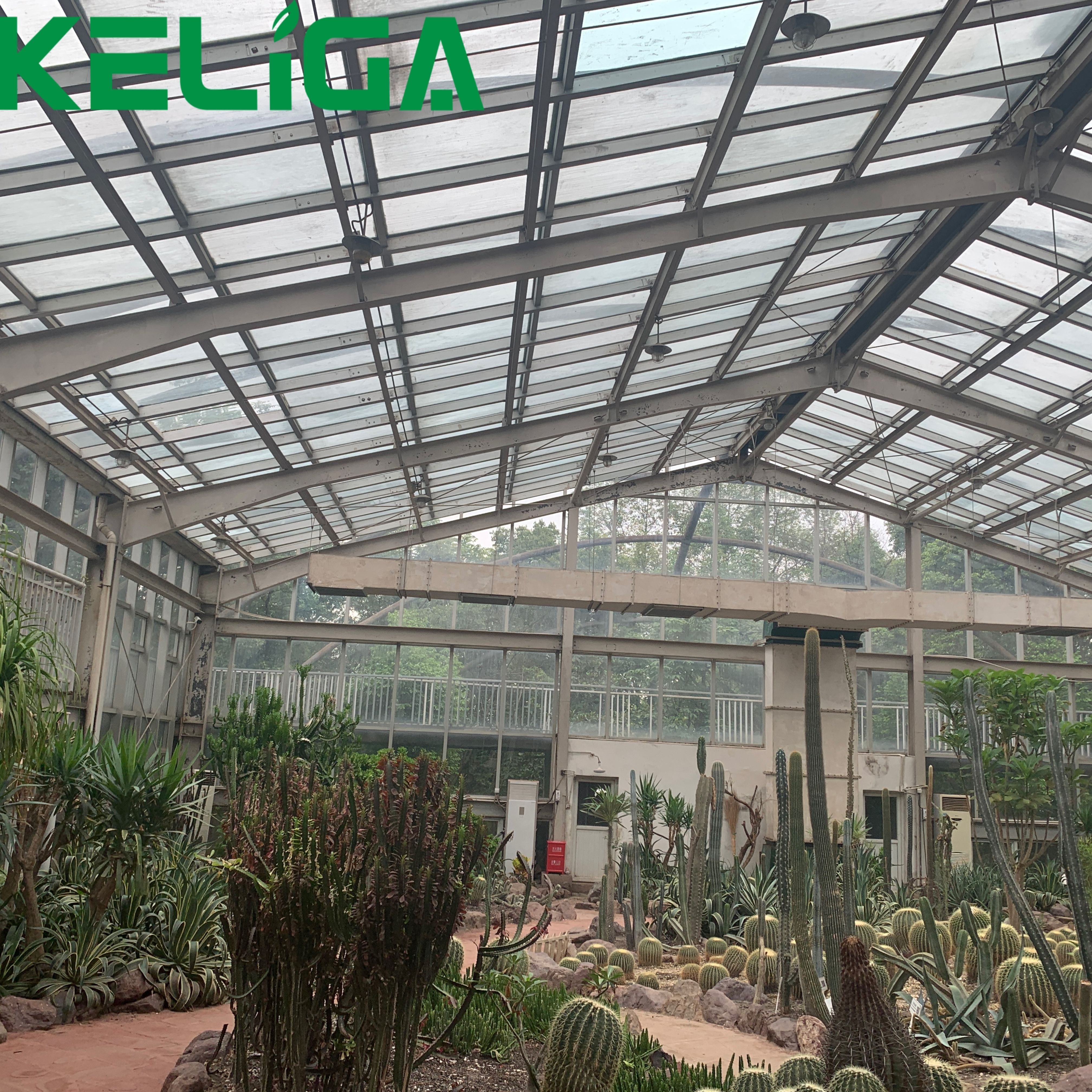 Agricultural Greenhouses Multi-span Glass Greenhouses for plants/vegetable/flowers