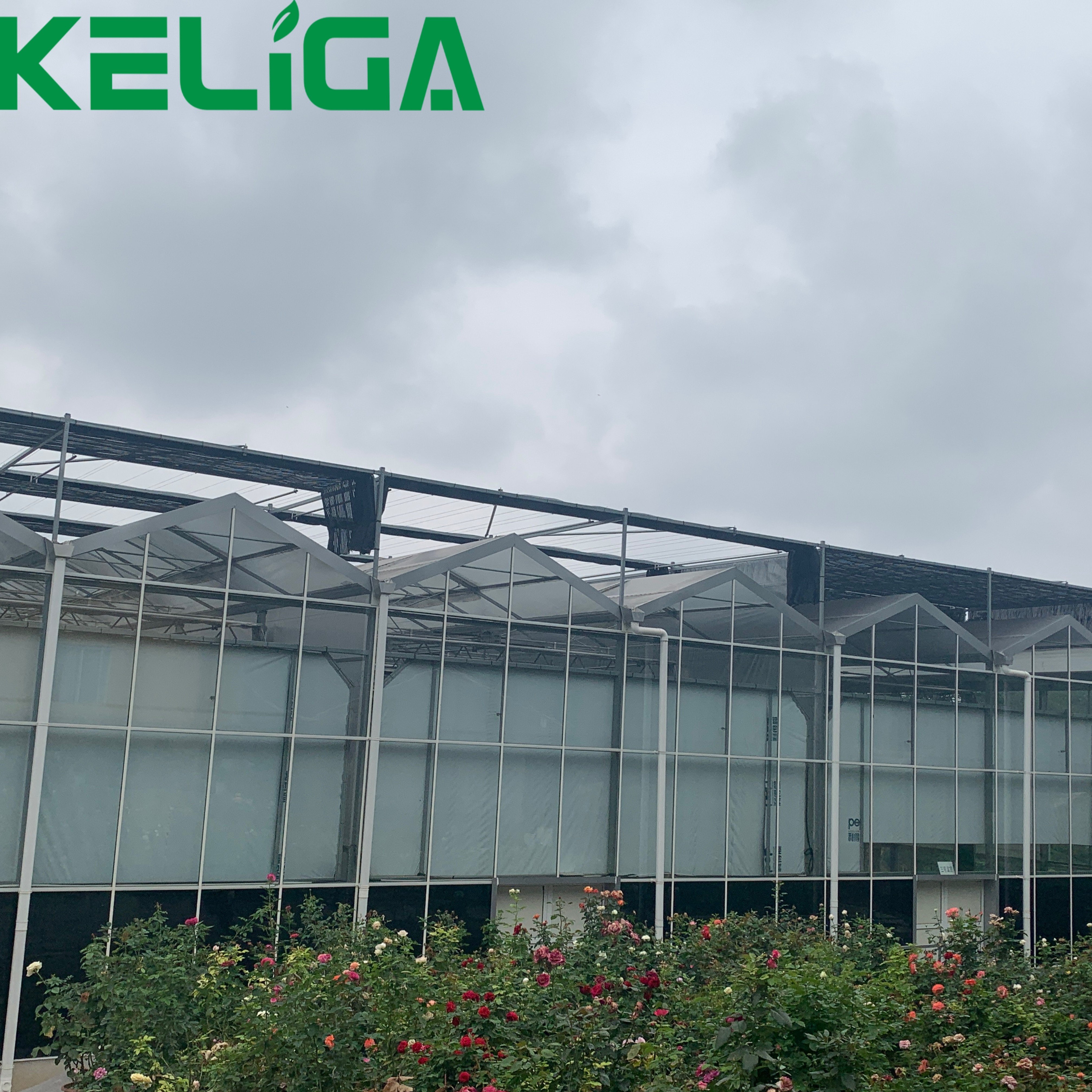 Agricultural Greenhouses Multi-span Glass Greenhouses for plants/vegetable/flowers