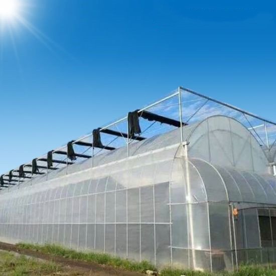 Winter Plants and Vegetables Growing Warm Tunnel PE Polythene Agriculture Plastic Film PE Greenhouse Film
