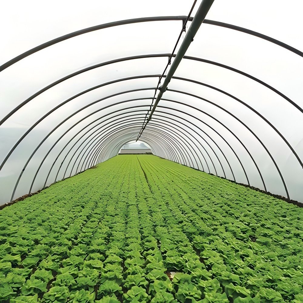 Winter Plants and Vegetables Growing Warm Tunnel PE Polythene Agriculture Plastic Film PE Greenhouse Film