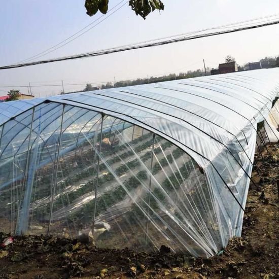 Winter Plants and Vegetables Growing Warm Tunnel PE Polythene Agriculture Plastic Film PE Greenhouse Film