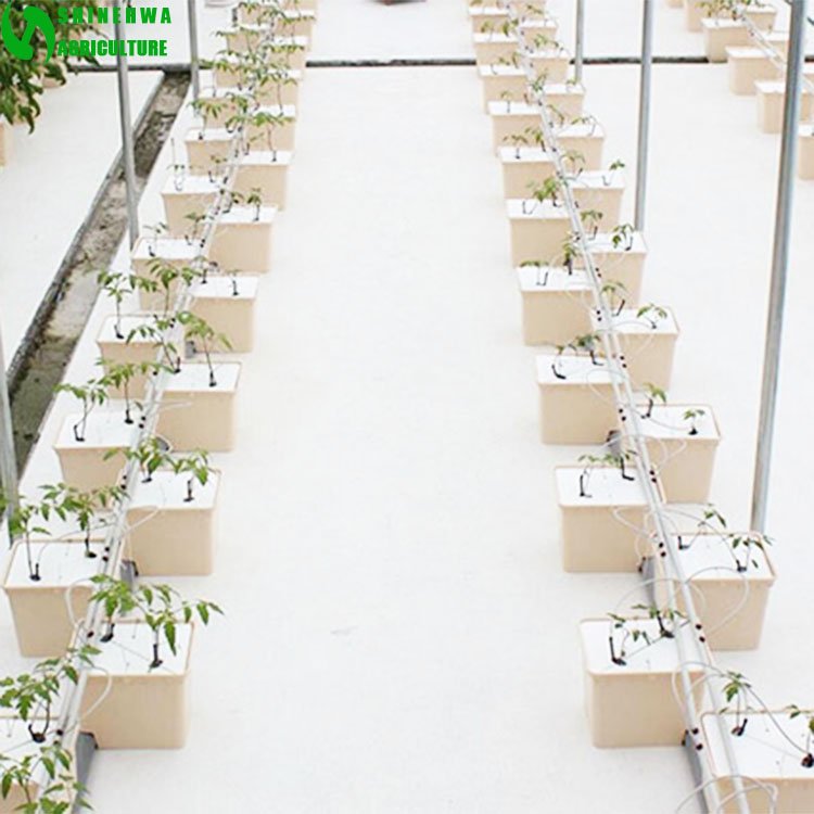 agricultural greenhouses hydroponic container system dutch bucket for tomatoes growing