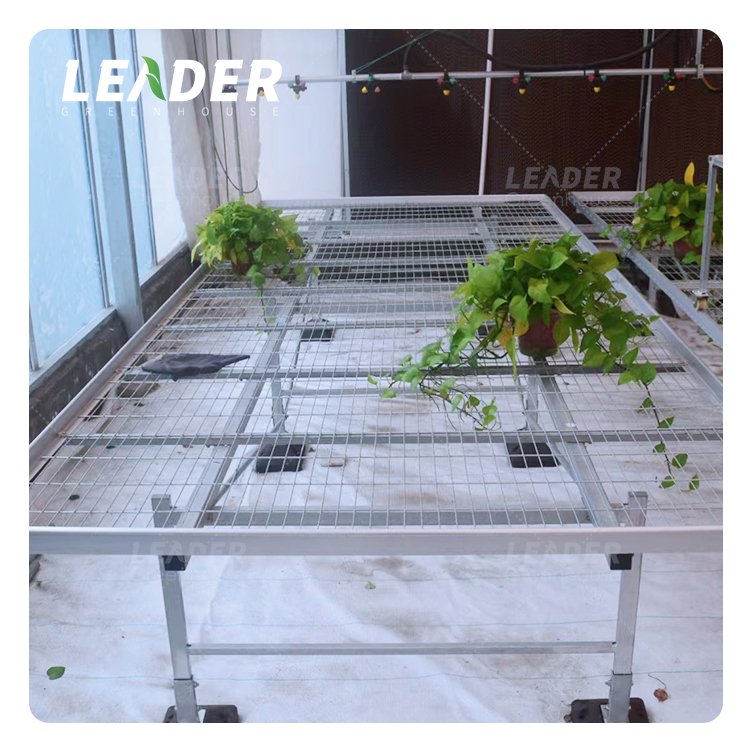 agricultural growing flood tray table hydroponics system ebb and flowing bench galvanized rack plastic tray