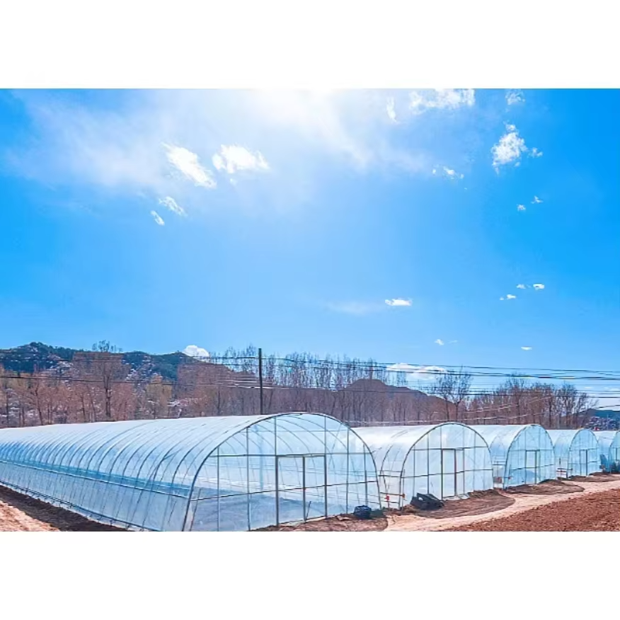 Excellent Quality Modern Style Equipment For Agricultural Greenhouses Accessory
