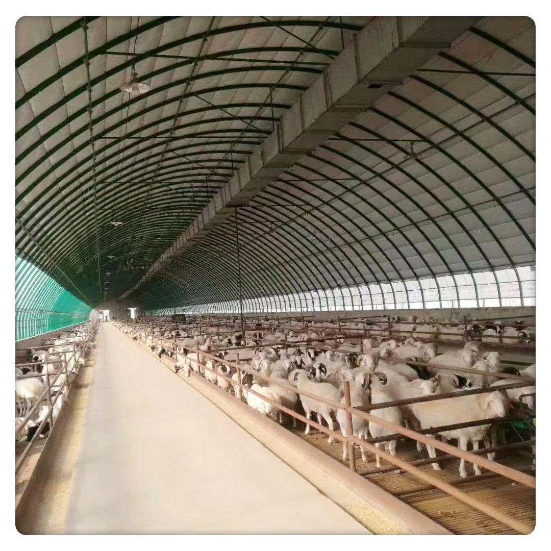 Wholesale Large Scale Greenhouses Cattle Sheep Breeding Single Agricultural Animal Husbandry Film Steel Frame Greenhouse Plant