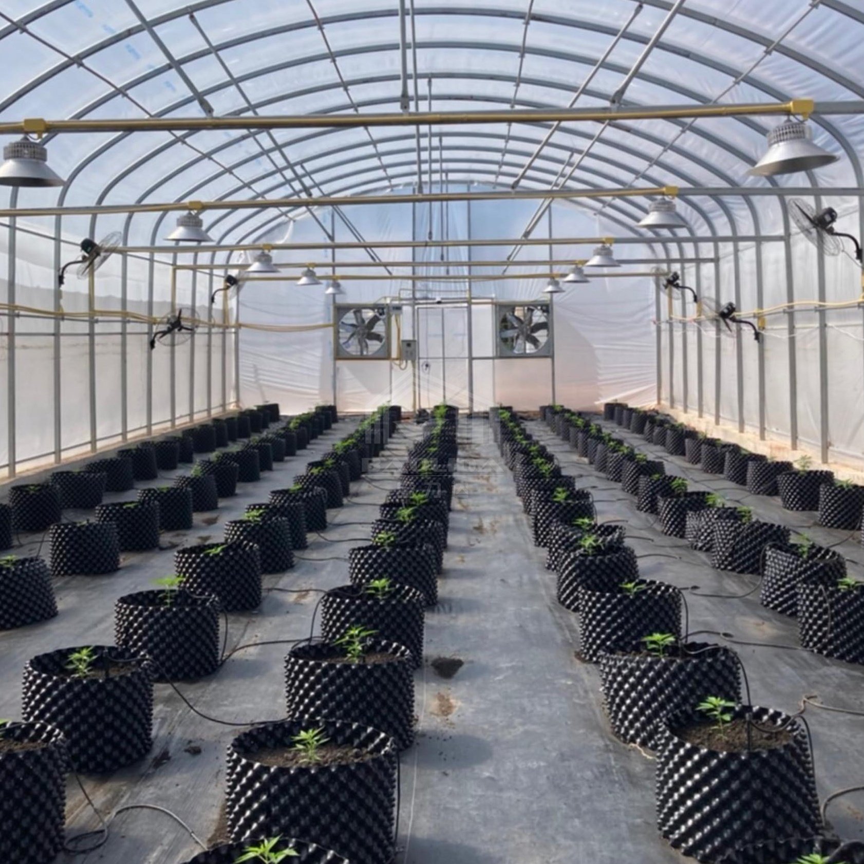 low price serre agricole green house invernadero grow tent greenhouse kit