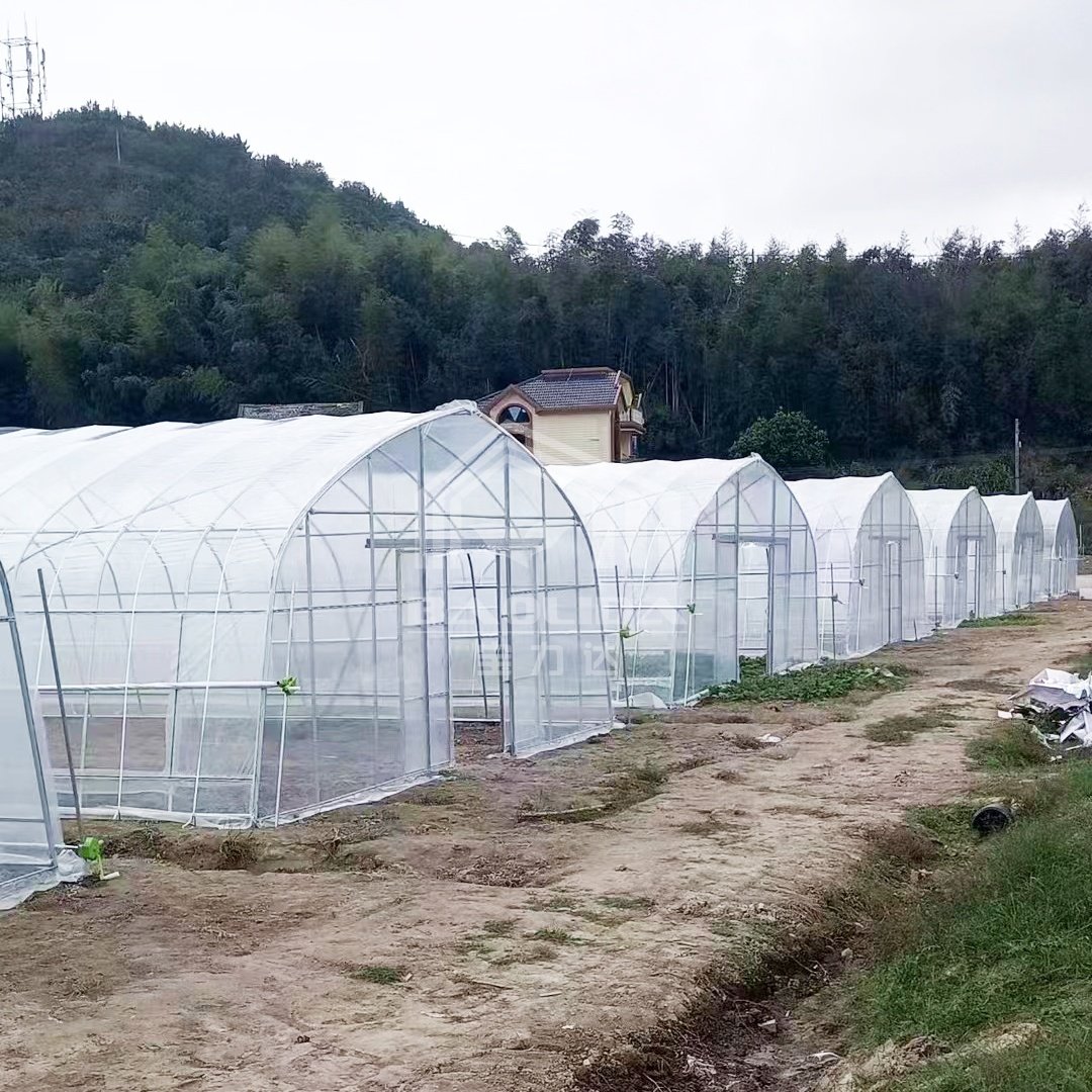 low price serre agricole green house invernadero grow tent greenhouse kit