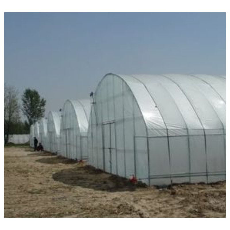 High Strength Commercial Agricultural Poly Tunnel Single-span Green House Plastic Film Greenhouse For Sale